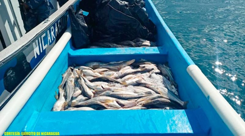 La tripulación de la embarcación no presentó documentación, emisión de zarpe, no portaban chalecos salvavidas y medios de seguridad de la vida humana en el mar, violentando las leyes establecidas en el país.