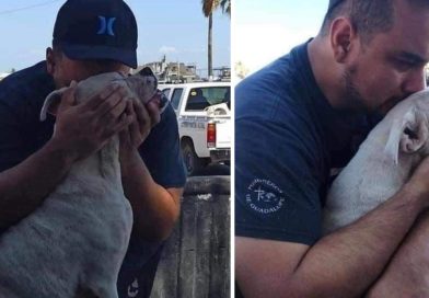 Hombre realiza su último viaje con su perrito
