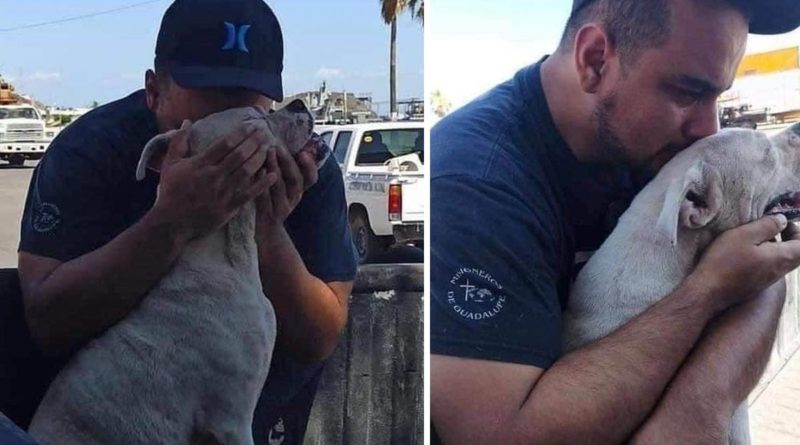 Hombre realiza su último viaje con su perrito