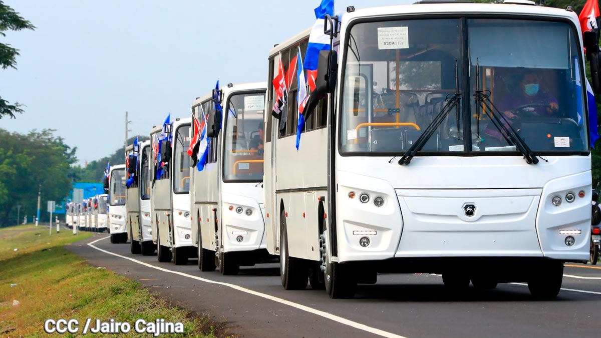 Llega a Nicaragua segunda flota de buses rusos para modernizar el transporte público