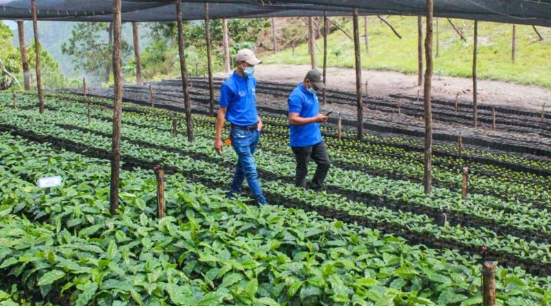 Inauguran Primera Etapa de Centro de Desarrollo Tecnológico de Café en Nueva Segovia