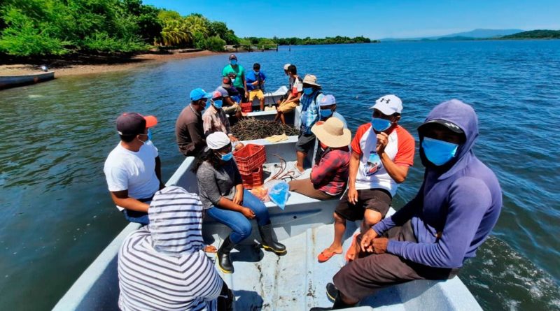 Ciudadanos llegando a la Isla La Vaca, en Padre Ramos para reforestar el mangle rojo