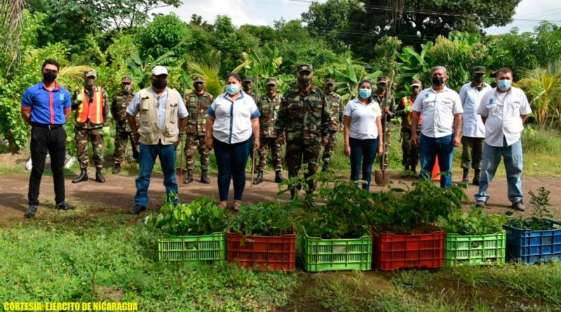 Efectivos del Ejército de Nicaragua con representantes de INAFOR en jornada de siembra de plantas en Chinandega