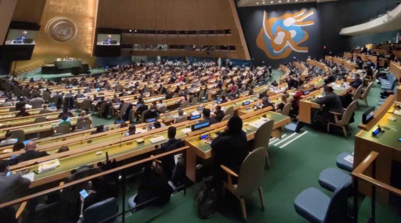 Salón de la Asamblea General, elecciones sobre la Comisión de Derecho Internacional (CDI).