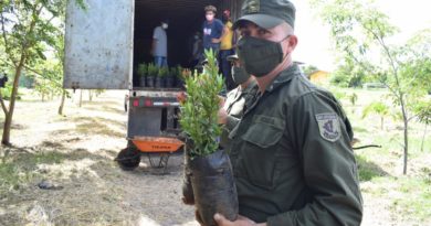 Efectivos del Ejército de Nicaragua descargando plantas frutales