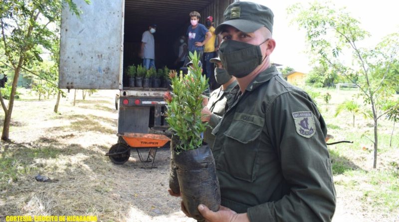 Efectivos del Ejército de Nicaragua descargando plantas frutales