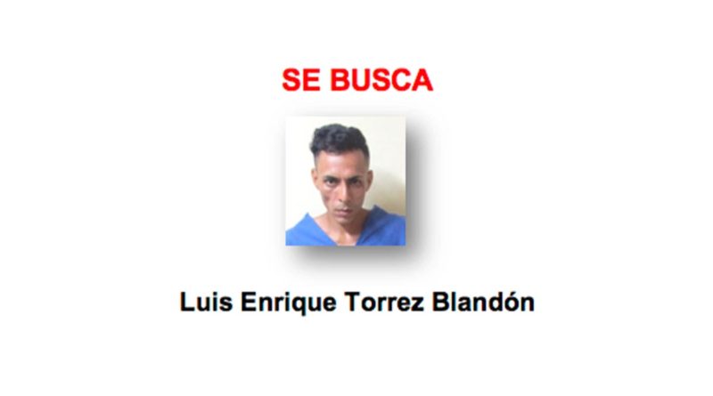 Policía Nacional continúa en la búsqueda y captura del delincuente Luis Enrique Torrez Blandón, alias “cara de vieja”, autor de muerte homicida en el barrio Milagro de Dios el Distrito 5.