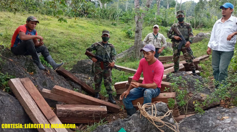 Ejército de Nicaragua incautando madera protegida a contrabandistas