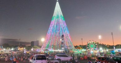 Vista del árbol navideño instalado en la Plaza de la Fé