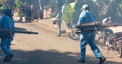 Brigadistas del Ministerio de Salud durante una jornada de fumigación en la capital