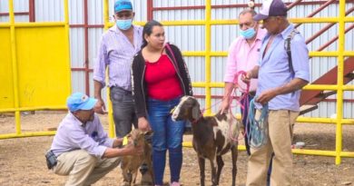 Proceso de entrega a pequeños productores de la comunidad de de Macuelizo por parte del Gobierno Sandinista a través del Sistema de Producción, Consumo y Comercio.