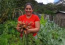 Cómo Nicaragua combate la pobreza y empodera a las mujeres a través del Ministerio de Economía Familiar