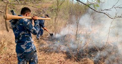 Ejército de Nicaragua participa en sofocación de incendio agropecuario