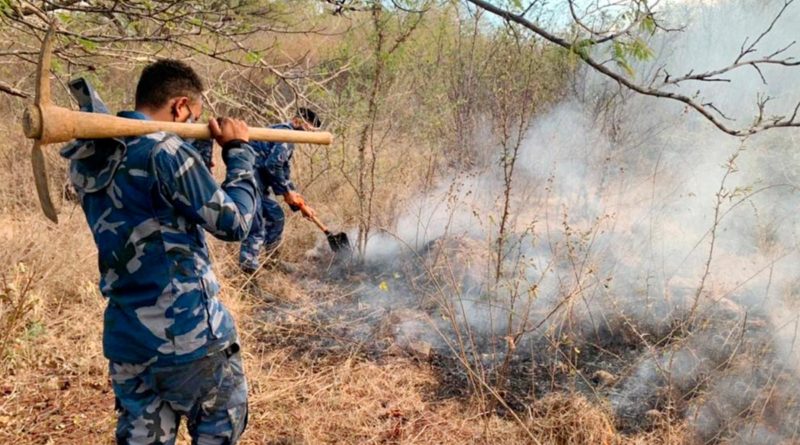 Ejército de Nicaragua participa en sofocación de incendio agropecuario