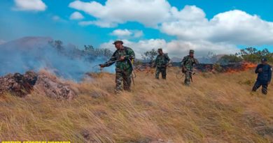 Efectivos del Ejército de Nicaragua participando en sofocación de incendio forestal en Juigalpa, Chontales