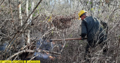 Efectivo militar en ardua jornada de sofocación de incendio agropecuario en el cerro La Guanábana