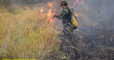 Efectivo militar del ejército de Nicaragua tratando de extinguir las llamas en la finca Cofradía, Juigalpa, Chontales