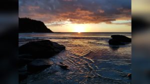 Playa El Ostional, Rivas