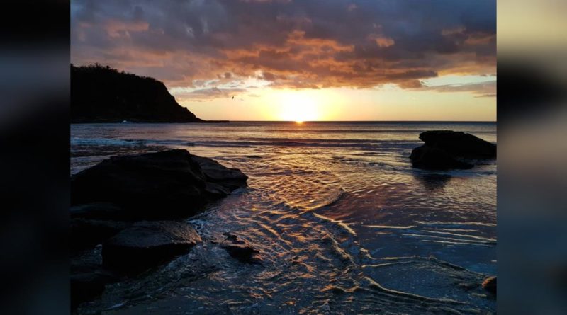 Playa El Ostional, Rivas