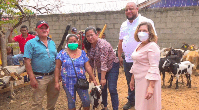 Entrega de cabras y ovejas a familias productoras de Mozonte, Nueva Segovia