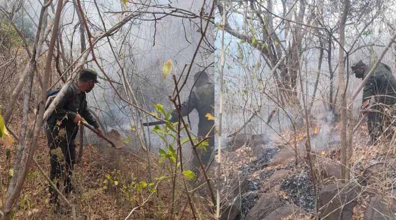 Miembros del Ejército de Nicaragua durante la sofocación del incendio en Malpaisillo