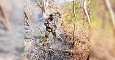 Ejército de Nicaragua sofocan incendio forestal en Chinandega