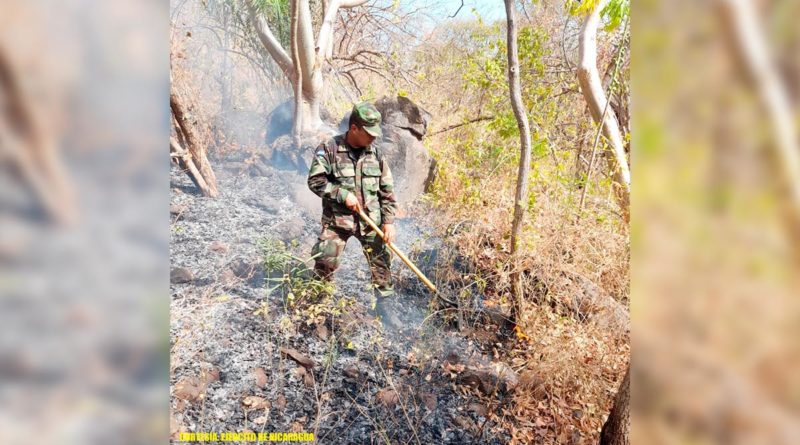 Ejército de Nicaragua sofocan incendio forestal en Chinandega