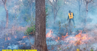 Efectivos del Ejército de Nicaragua en sofocación de incendio forestal en comunidad Buenos Aires, municipio de Juigalpa, departamento de Chontales