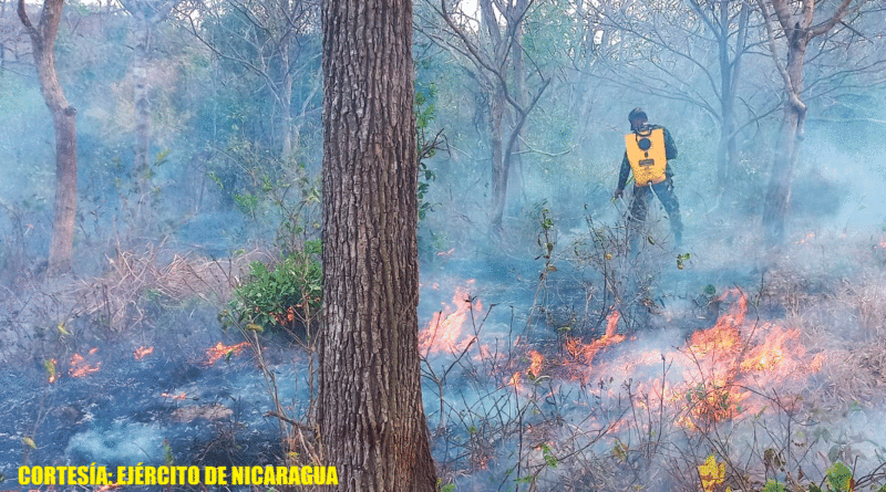 Efectivos del Ejército de Nicaragua en sofocación de incendio forestal en comunidad Buenos Aires, municipio de Juigalpa, departamento de Chontales