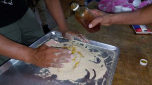 Productores Apicultores de Chinandega en proceso de capacitación, aprendiendo a elaborar torta nutritiva para las abejas