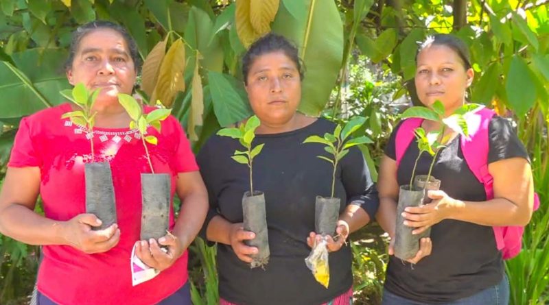 Protagonistas de la entrega de semillas del Instituto de TecnologÍa Agropecuaria con sus bonos de hortalizas y enramas