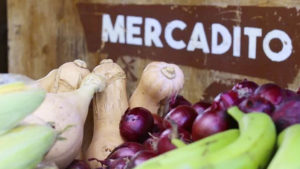 Vegetales y legumbres en el Mercadito Campesino del Parque de Ferias en Managua