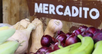 Vegetales y legumbres en el Mercadito Campesino del Parque de Ferias en Managua