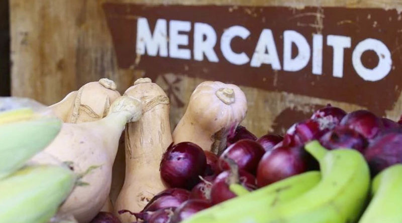 Vegetales y legumbres en el Mercadito Campesino del Parque de Ferias en Managua