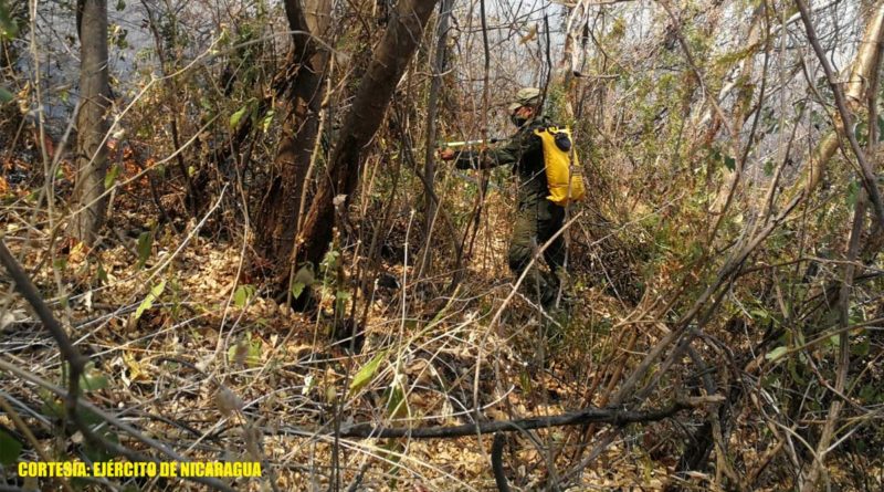 Efectivo Militar del Ejército de Nicaragua en medio del proceso de sofocación de incendio agropecuario en Volcán Santa Clara