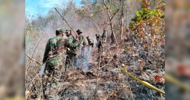 Ejército de Nicaragua participa en sofocación de incendio en Jinotega
