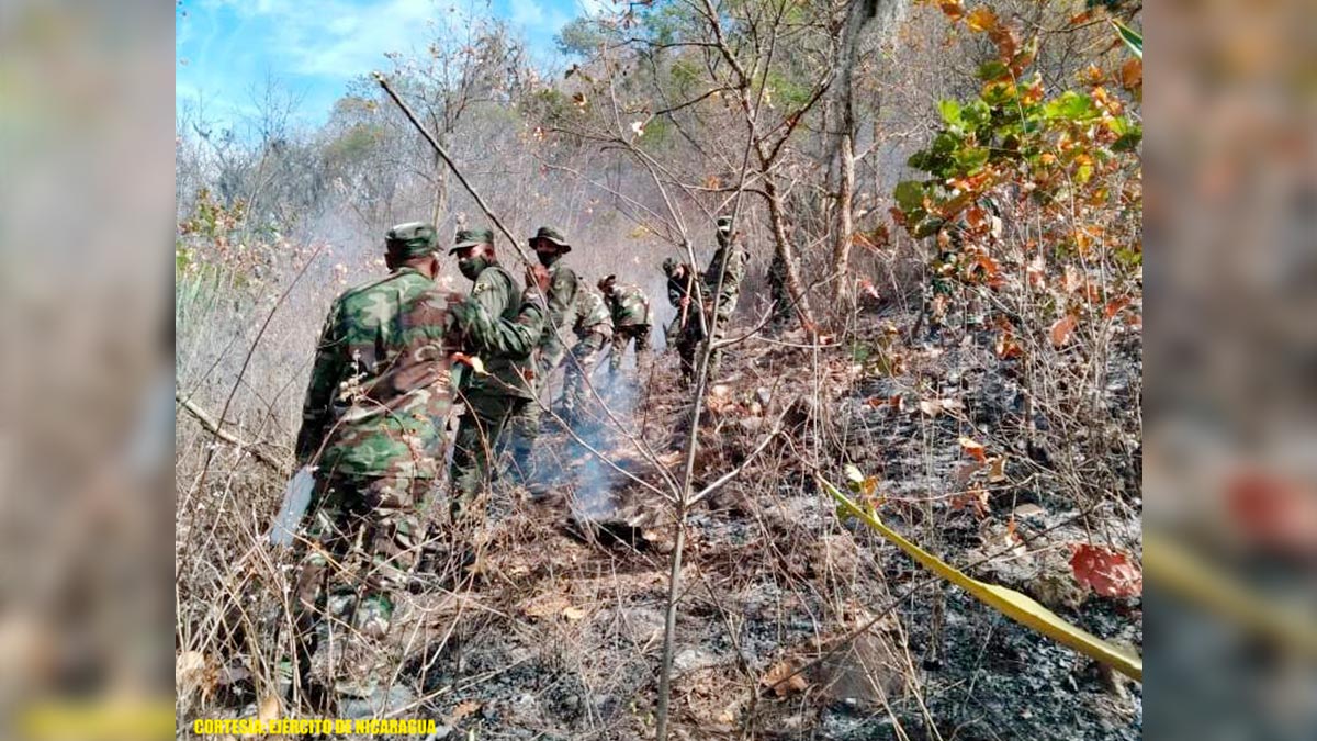 Ejército de Nicaragua participa en sofocación de incendio en Jinotega