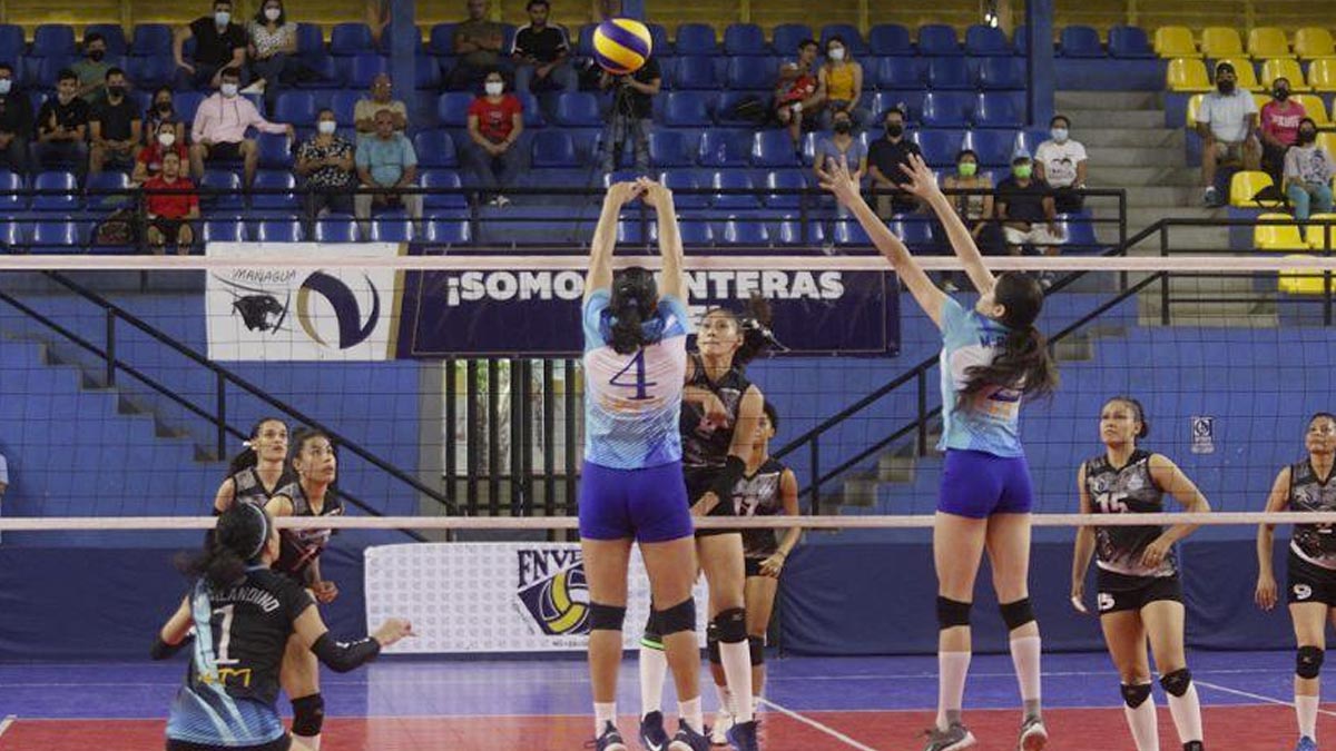 Panteras y Leonas ganan sus primeros encuentros en la semifinal de la Liga de Voleibol
