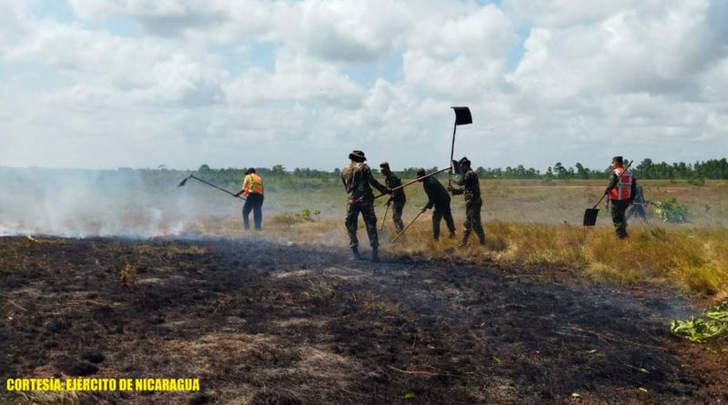 Efectivos militares del Ejército de Nicaragua en aras de extinguir incendio agropecuario en el municipio de Bilwi.