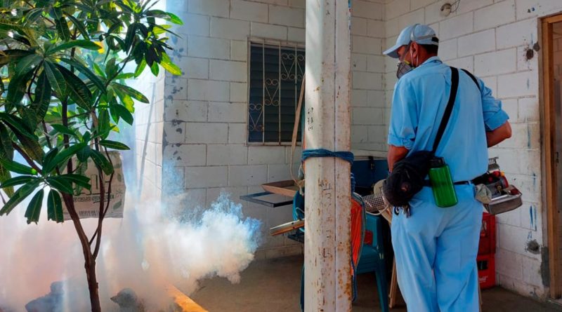 MINSA continúa lucha contra el mosquito transmisor del dengue