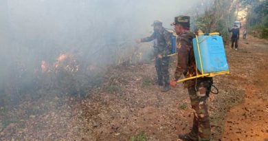 Miembros del Ejército de Nicaragua durante una de las sofocaciones de incendios forestales