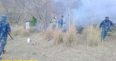 Ejército de Nicaragua durante la sofocación de los incendios agropecuarios en Nagarote