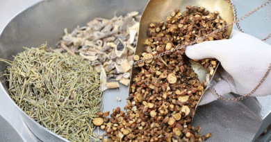 Especias utilizadas en la medicina tradicional china