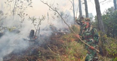 Efectivos Militares del Ejército de Nicaragua en proceso de sofocación de incendio forestal en comunidades: Los Lipes y Molino Norte.