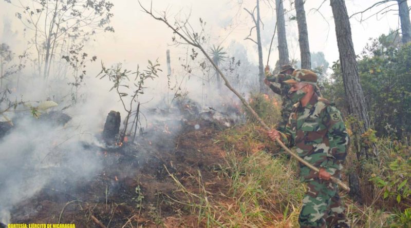 Efectivos Militares del Ejército de Nicaragua en proceso de sofocación de incendio forestal en comunidades: Los Lipes y Molino Norte.