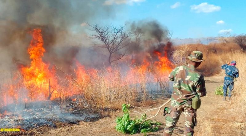 Ejército de Nicaragua participó en sofocación de incendio en Mateare