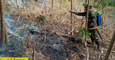 Ejército de Nicaragua participa en sofocación de incendio en Laguna de Apoyo