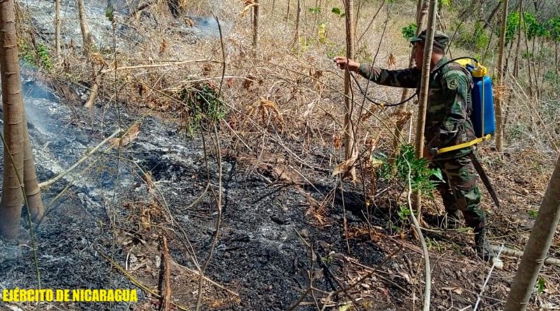Ejército de Nicaragua participa en sofocación de incendio en Laguna de Apoyo