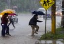 Personas con paraguas cruzando una calle bajo la lluvia