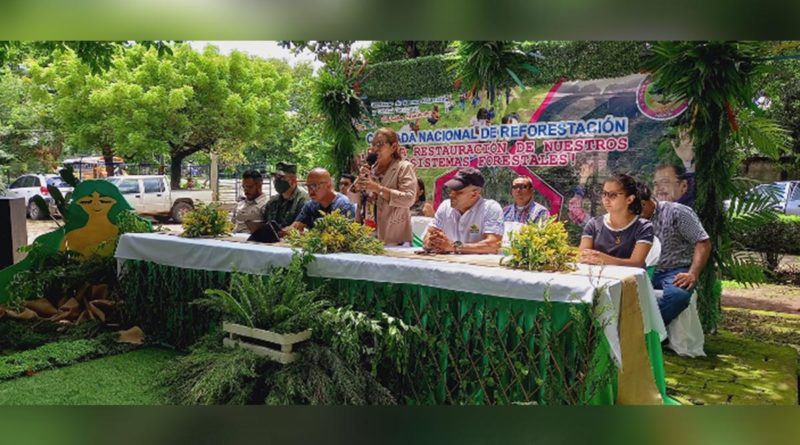 INAFOR y familias de El Viejo inician con la Cruzada Nacional de Reforestación